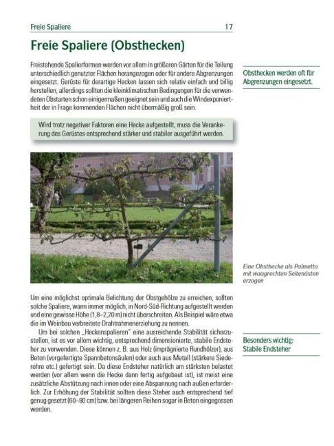 InsideView 4
