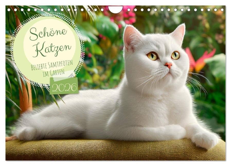 Schöne Katzen. Beliebte Samtpfoten im Garten (Wandkalender 2026 DIN A4 quer), CALVENDO Monatskalender - Rose Hurley