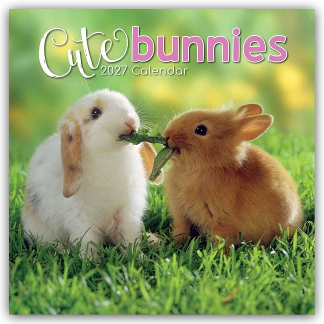 Cute Bunnies - Niedliche Kaninchen 2027 - 16-Monatskalender - Gifted Stationery Co. Ltd