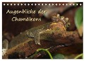 Augenblicke der Chamäleons (Tischkalender 2025 DIN A5 quer), CALVENDO Monatskalender - Chawera Chawera