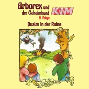 Cover-Bild zum Titel '09: Qualm in der Ruine' von 'Fritz Hellmann, Erika Immen, Peter Thomas'