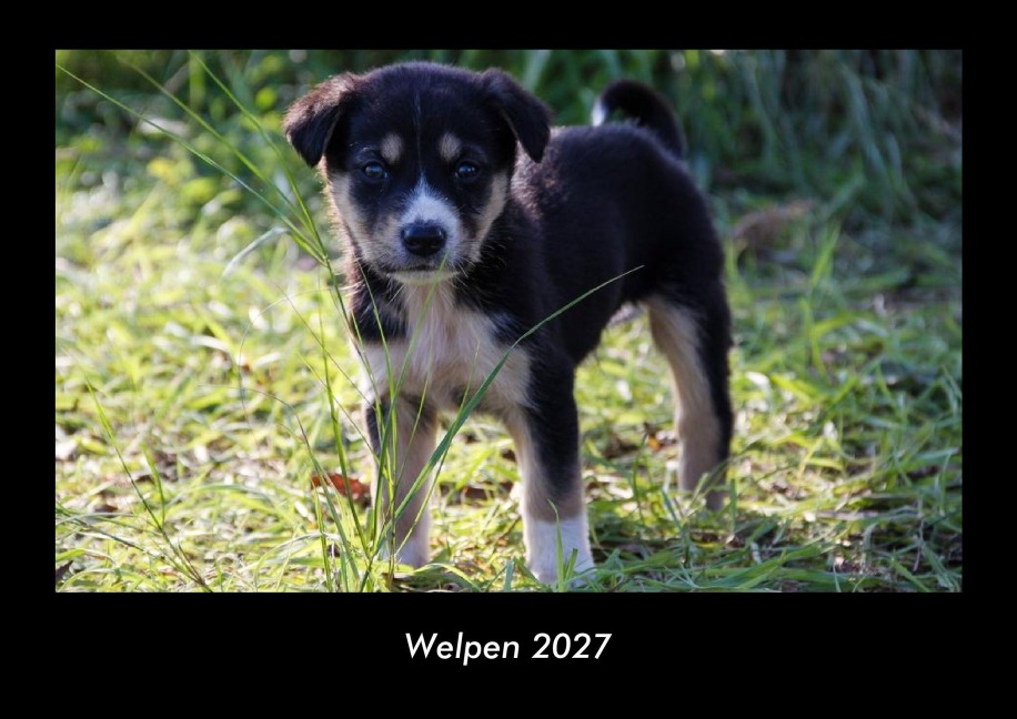 Welpen 2027 Fotokalender DIN A3 - Tobias Becker