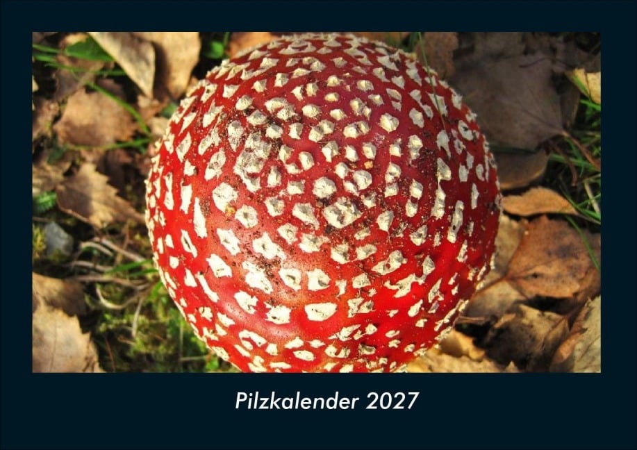 Pilzkalender 2027 Fotokalender DIN A4 - Tobias Schmitt, Kevin Heber