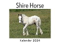 Shire Horse (Wandkalender 2024, Kalender DIN A4 quer, Monatskalender im Querformat mit Kalendarium, Das perfekte Geschenk) - Anna Müller