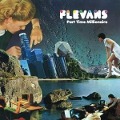 Cover-Bild zum Titel 'Part Time Millionaire' von 'Flevans'