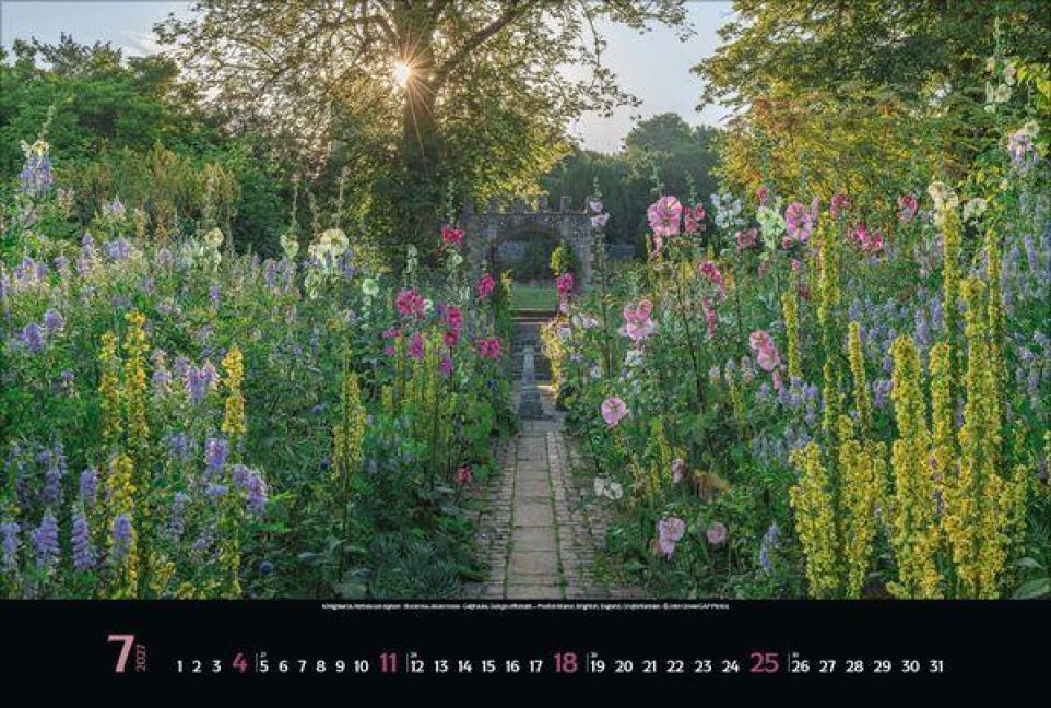 InsideView 7