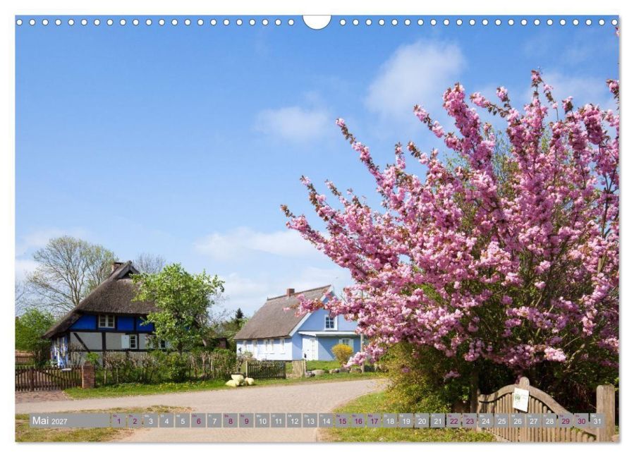InsideView 10