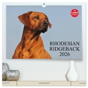 Cover-Bild zum Titel 'Rhodesian Ridgeback 2026 (hochwertiger Premium Wandkalender 2026 DIN A2 quer), Kunstdruck in Hochglanz' von 'Sigrid Starick'