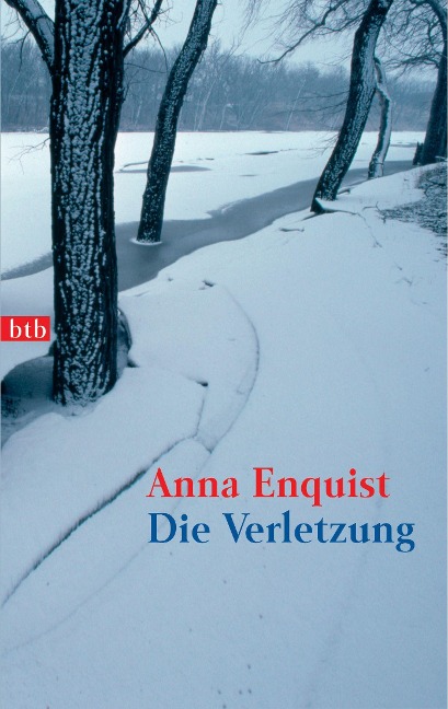 Die Verletzung - Anna Enquist