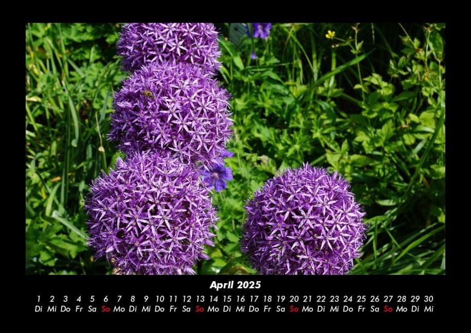InsideView 8