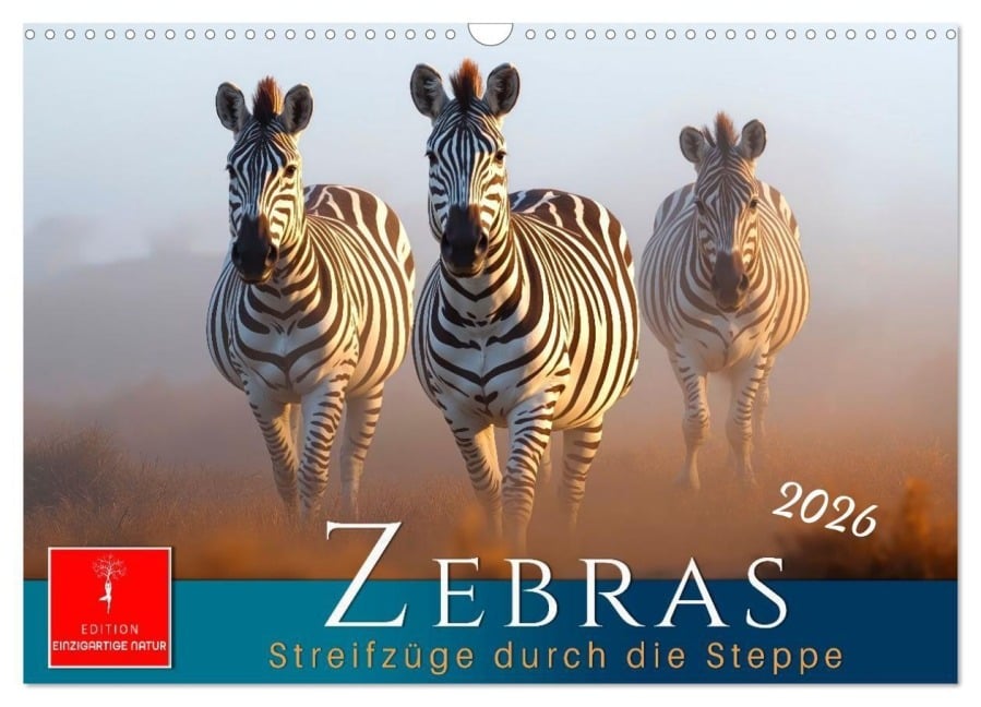 Zebras - Streifzüge durch die Steppe (Wandkalender 2026 DIN A3 quer), CALVENDO Monatskalender - Meike und Peter Roder