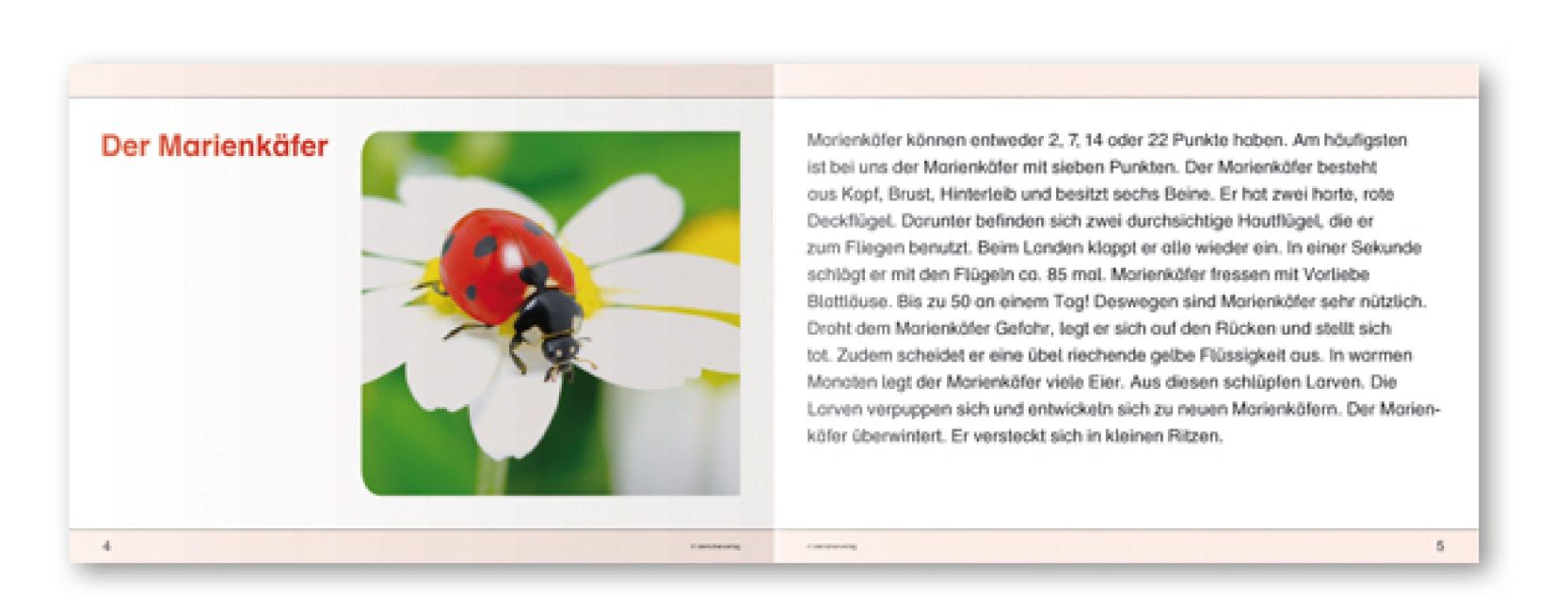 InsideView 8