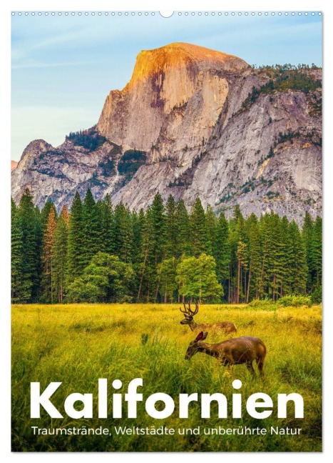 Kalifornien - Traumstrände, Weltstädte und unberührte Natur (Wandkalender 2026 DIN A2 hoch), CALVENDO Monatskalender - M. Scott