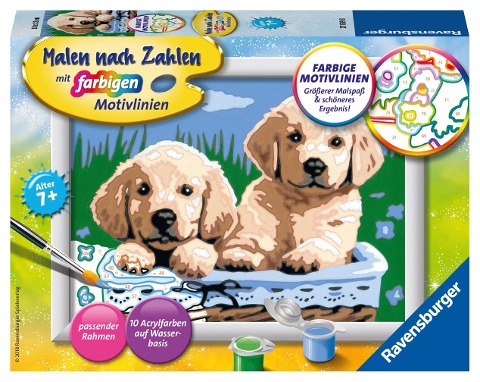 Süße Hundewelpen Malen nach Zahlen Serie E - 
