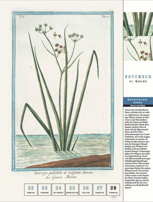 InsideView 5