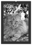 Katz & Maus (Wandkalender 2026 DIN A2 hoch), CALVENDO Monatskalender - Julia Schäfer