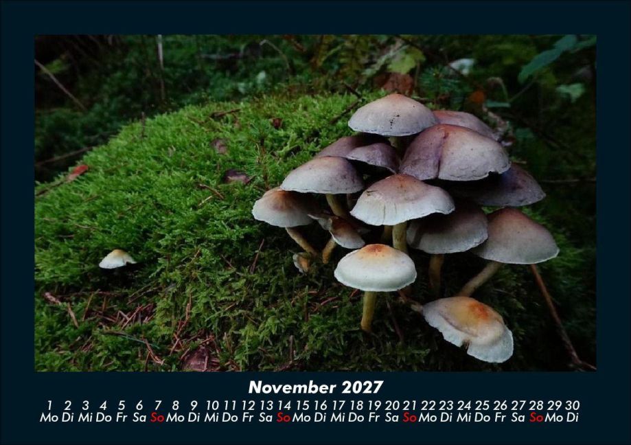 InsideView 3