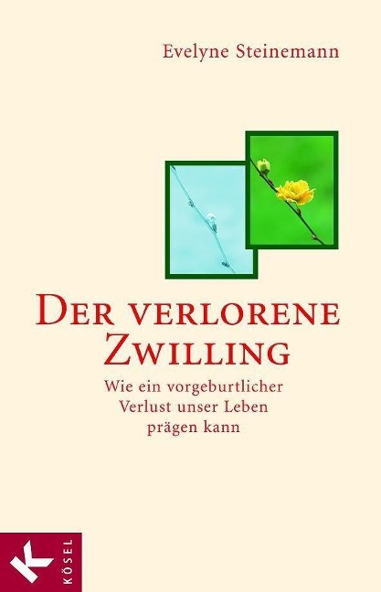 Der verlorene Zwilling - Evelyne Steinemann