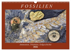Cover-Bild zum Titel 'Fossilien - Ammoniten, Trilobiten, Erdgeschichte (Wandkalender 2026 DIN A3 quer), CALVENDO Monatskalender' von 'Anja Frost'