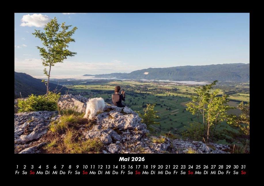 InsideView 9