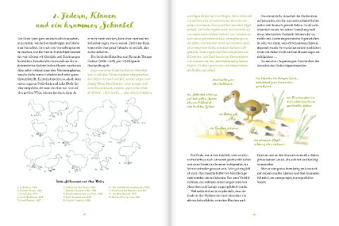 InsideView 1