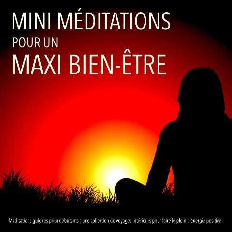 MINI méditations pour un MAXI bien-être - Patrick Lynen