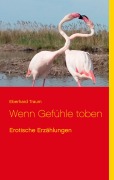 Cover-Bild zum Titel 'Wenn Gefühle toben' von 'Eberhard Traum'