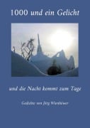 Cover-Bild zum Titel '1000 und ein Gelicht' von 'Jörg Wienhöwer'