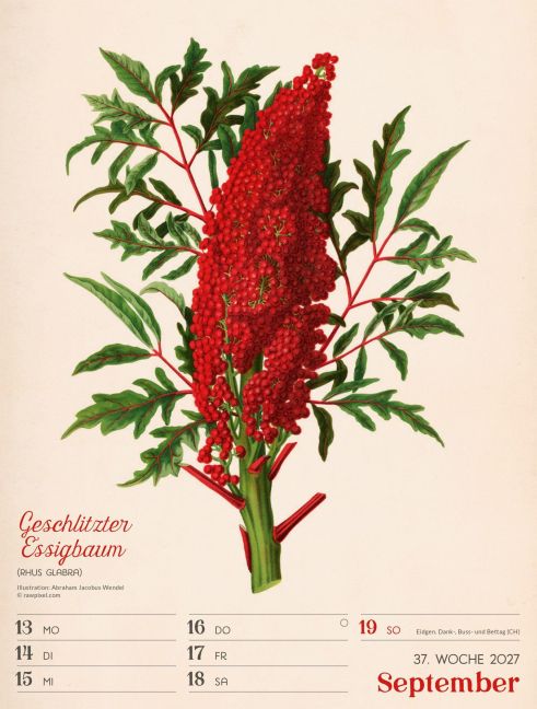 InsideView 41