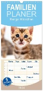 Familienplaner 2024 - Bengal Kätzchen mit 5 Spalten (Wandkalender, 21 x 45 cm) CALVENDO - Sylke Enderlein - Bethari Bengals