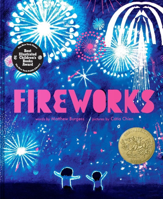 Fireworks - Matthew Burgess