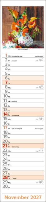 InsideView 11