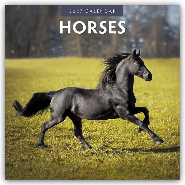 Horses - Pferde 2027 - 16-Monatskalender - Robin Red