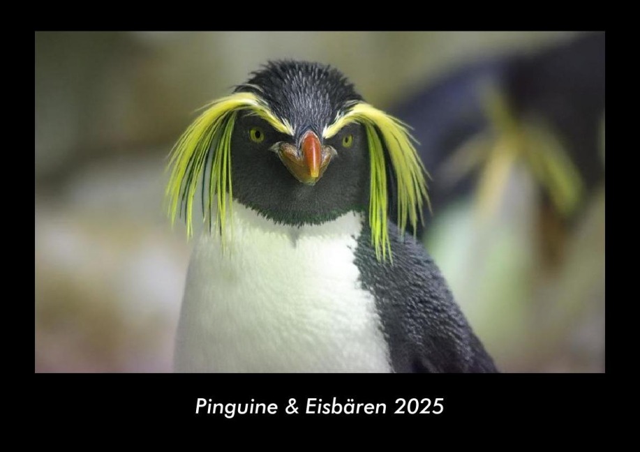 Pinguine & Eisbären 2025 Fotokalender DIN A3 - Tobias Becker