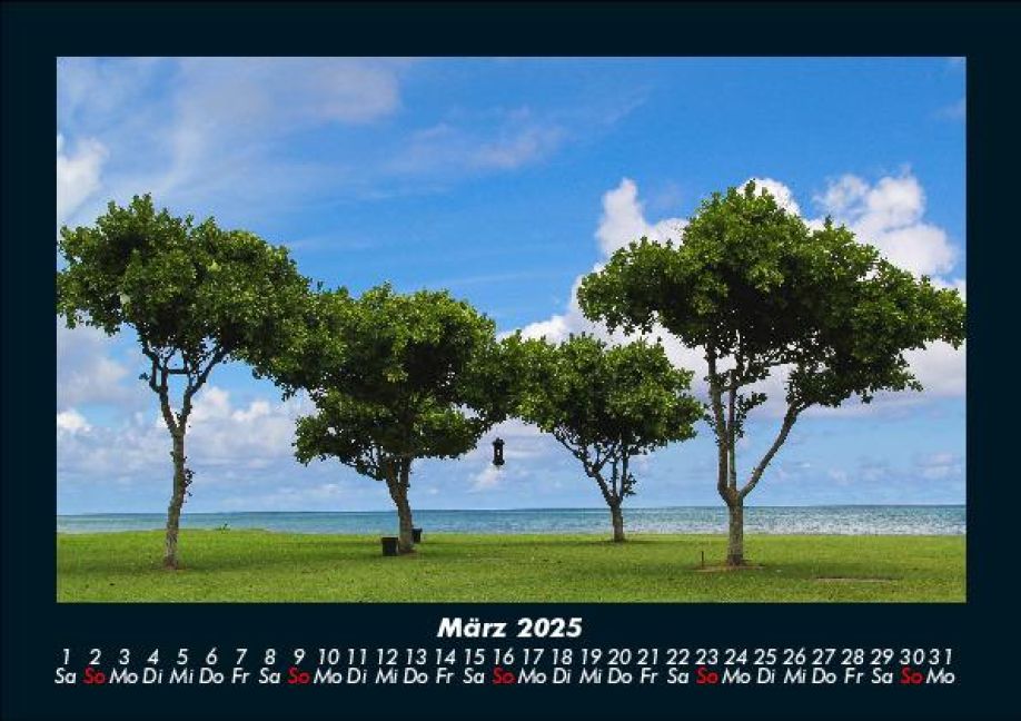 InsideView 7