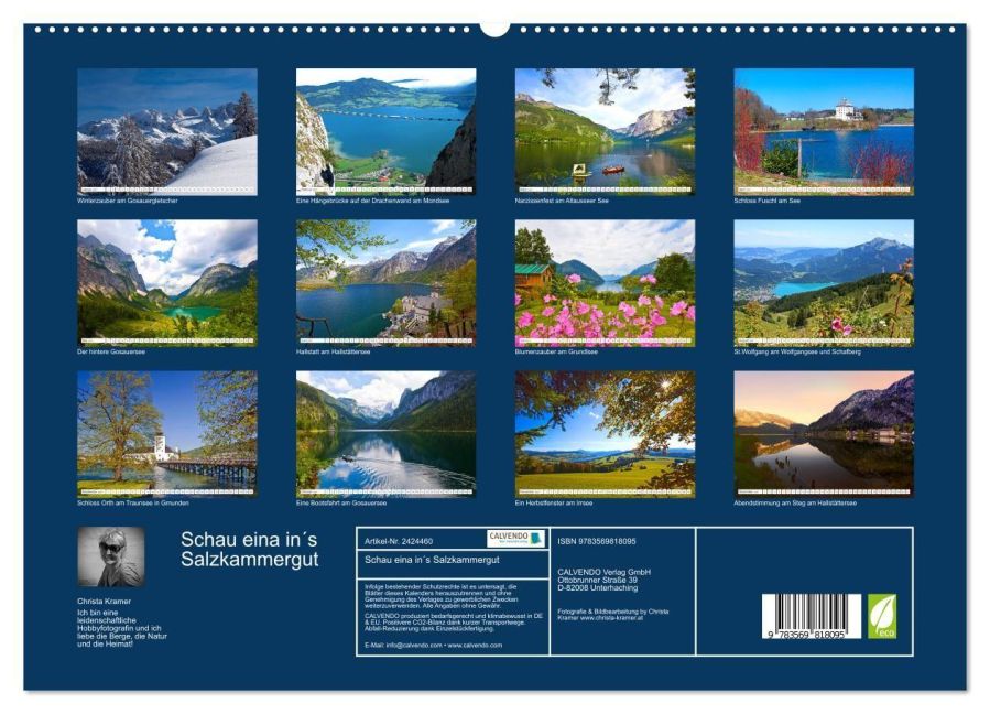InsideView 4