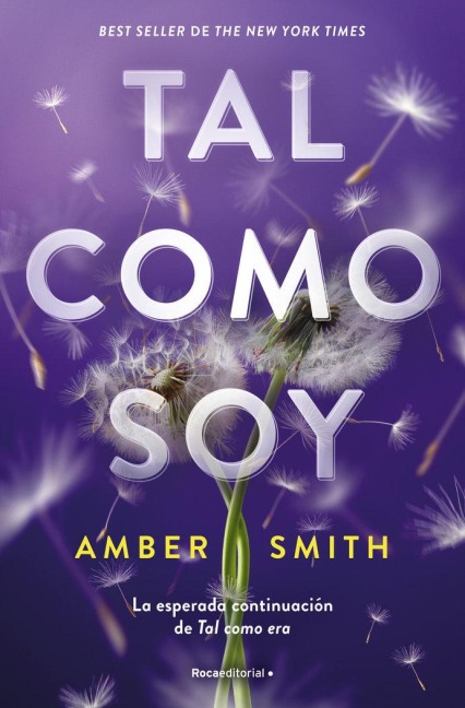 Tal Como Soy / The Way I Am Now - Amber Smith