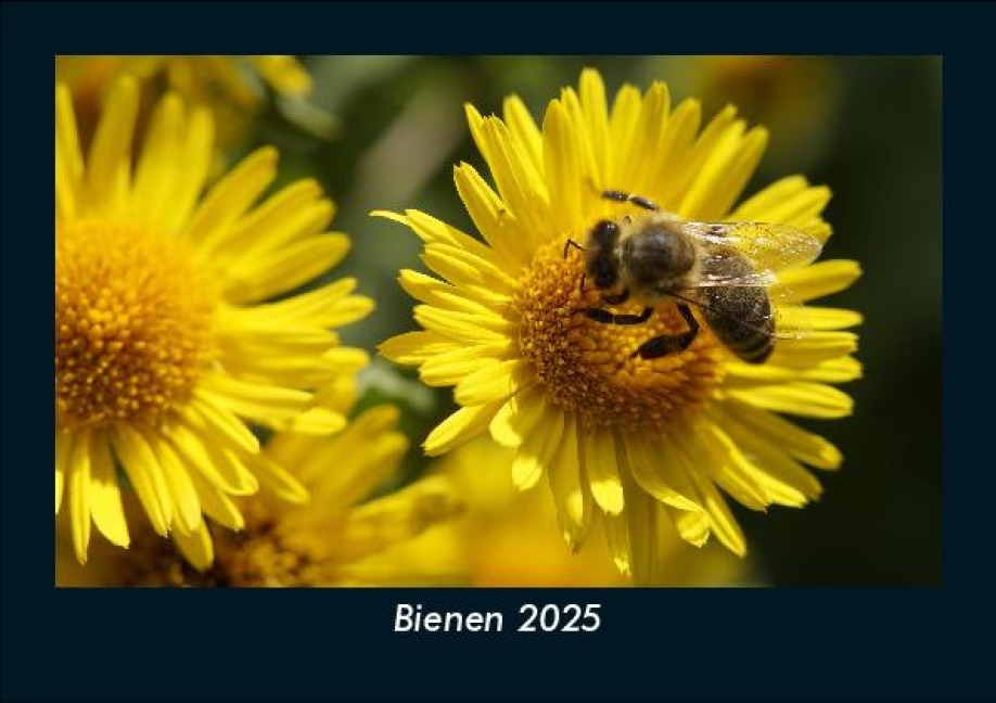 Bienen 2025 Fotokalender DIN A5 - Tobias Becker