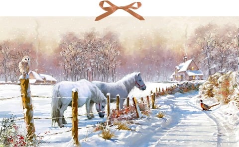 Wand-Adventskalender - Winterponys -  Wand-Adventskalender - Winterponys -