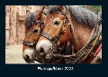 Pferdegeflüster 2023 Fotokalender DIN A4 - Tobias Becker