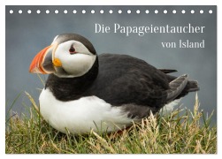 Cover-Bild zum Titel 'Die Papageientaucher von Island (Tischkalender 2026 DIN A5 quer), CALVENDO Monatskalender' von 'Inxtagenumdiewelt Inxtagenumdiewelt'