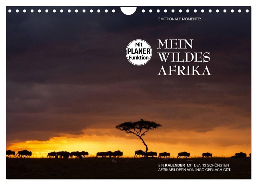 Emotionale Momente: Mein wildes Afrika (Wandkalender 2026 DIN A4 quer), CALVENDO Monatskalender - Ingo Gerlach GDT