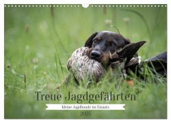 Treue Jagdgefährten - Kleine Jagdhunde im Einsatz (Wandkalender 2025 DIN A3 quer), CALVENDO Monatskalender - Yvonne Streib