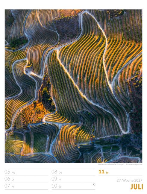 InsideView 31