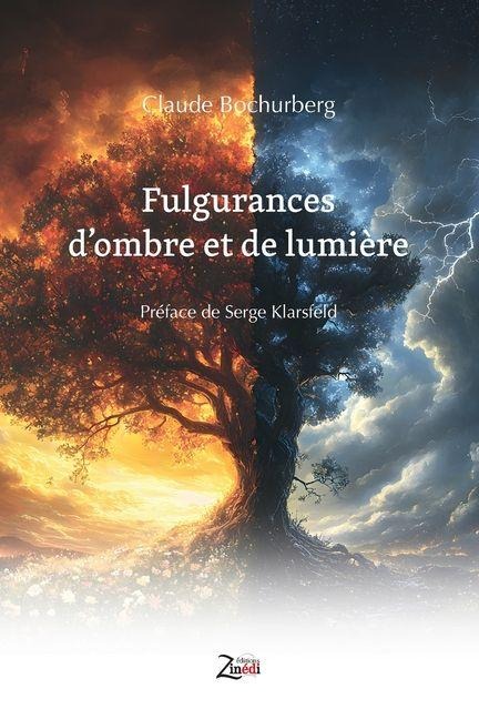 Fulgurances d'ombre et de lumière - Claude Bochurberg
