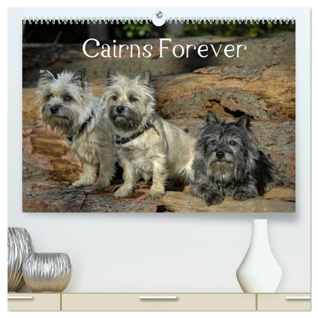Cairns Forever (hochwertiger Premium Wandkalender 2026 DIN A2 quer), Kunstdruck in Hochglanz - Homwico Homwico
