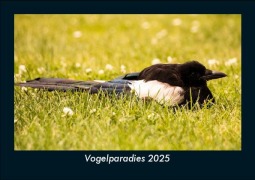 Cover-Bild zum Titel 'Vogelparadies 2025 Fotokalender DIN A5' von 'Tobias Becker'