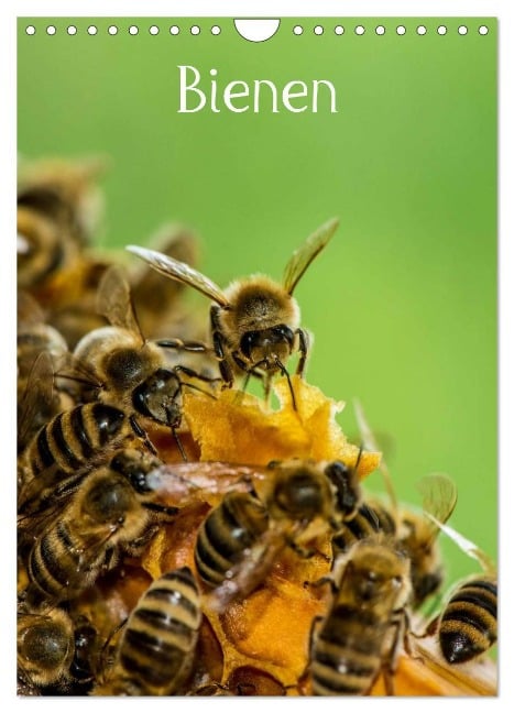 Bienen (Wandkalender 2025 DIN A4 hoch), CALVENDO Monatskalender - Mark Bangert