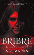 Cover-Bild zum Titel 'Bribre (Frozen Wasteland, #2)' von 'S. R. Marks'