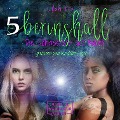 Cover-Bild zum Titel 'Berinshall - Die Schwestern der Nacht' von 'Lilah Fox'